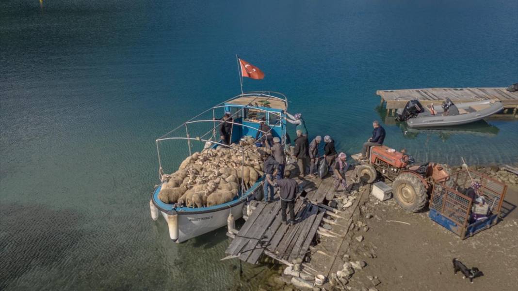 Sürülerin karada başlayan, denizde devam eden sıra dışı yolculuğu 8