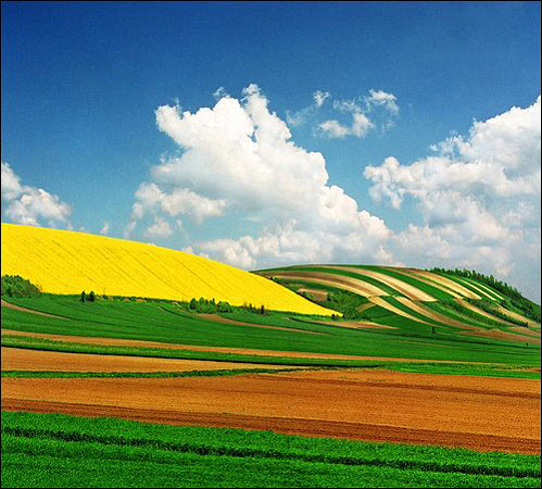 Strese birebir kareler 1
