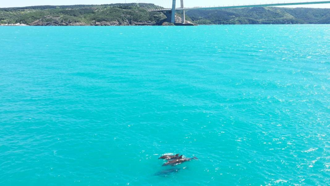 İstanbul Boğazı'nın turkuaz görüntüsü görenleri mest ediyor 16