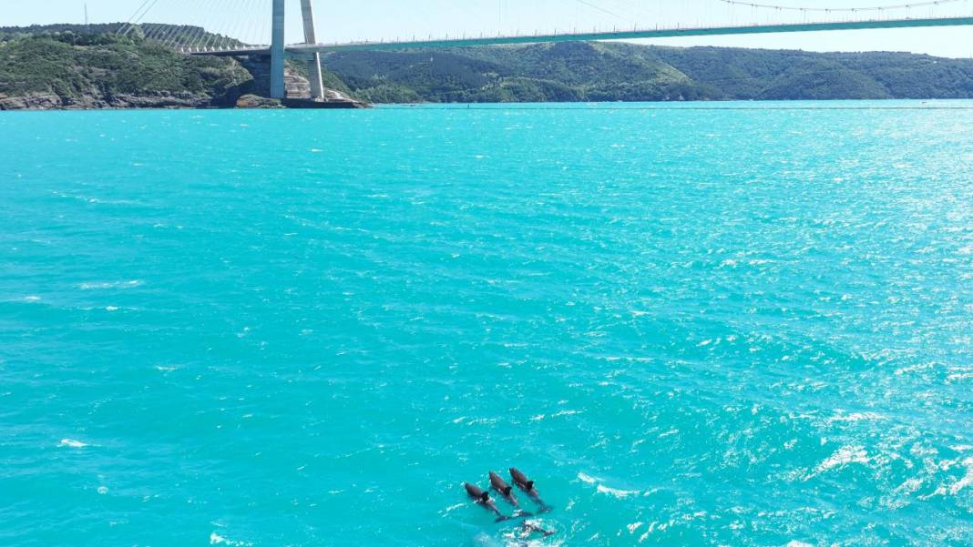 İstanbul Boğazı'nın turkuaz görüntüsü görenleri mest ediyor 17