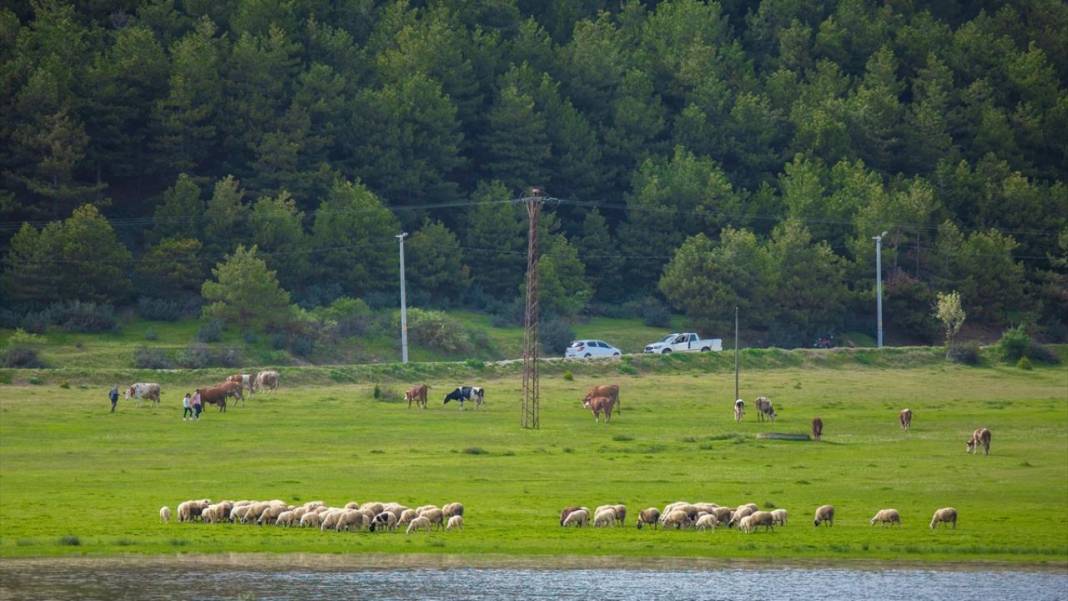 Denizli'nin saklı cenneti 'Yayla Gölü' 11
