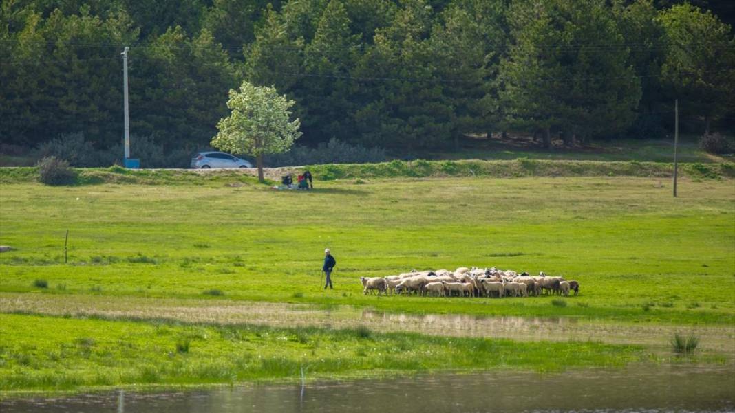 Denizli'nin saklı cenneti 'Yayla Gölü' 13