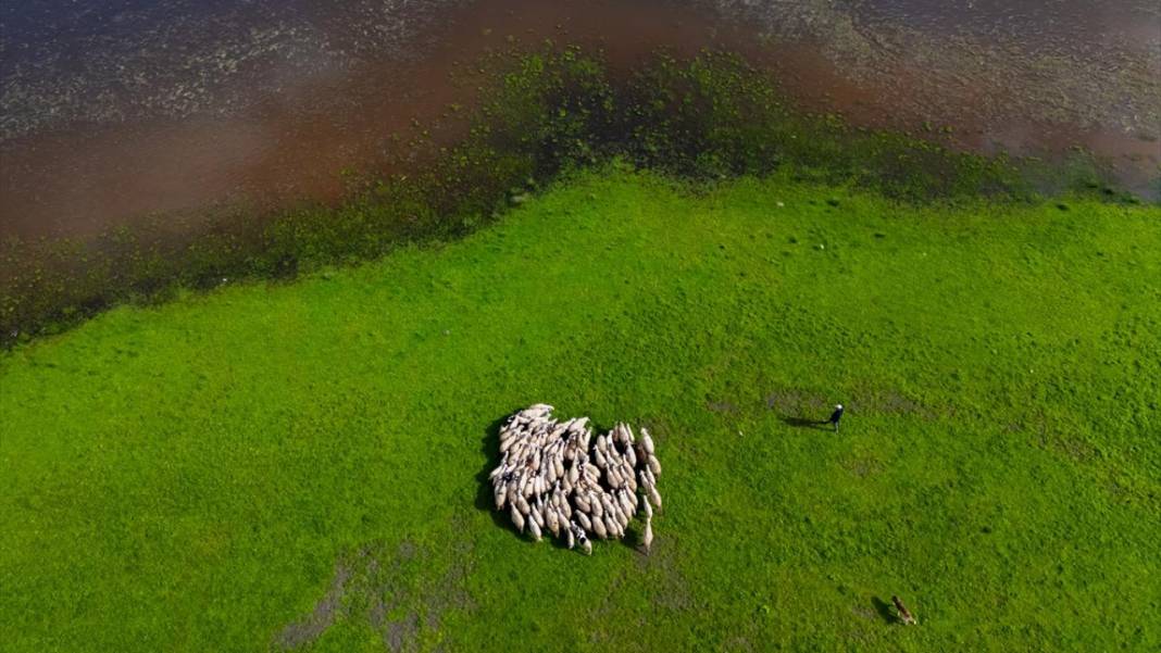 Denizli'nin saklı cenneti 'Yayla Gölü' 3
