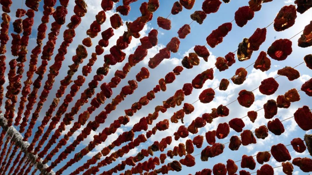 Gaziantep'te biber kurutma mesaisi 11