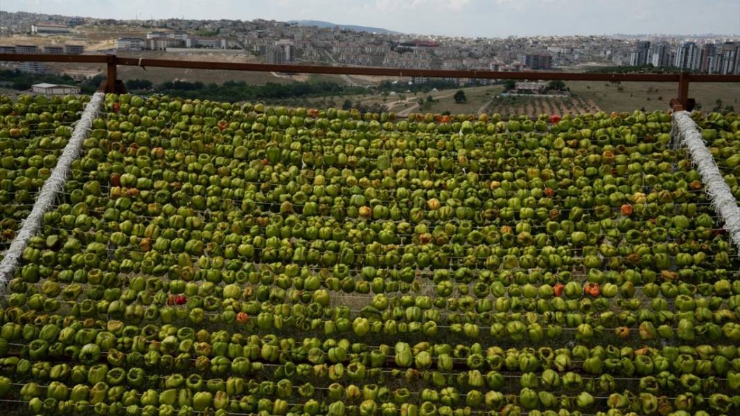 Gaziantep'te biber kurutma mesaisi 6