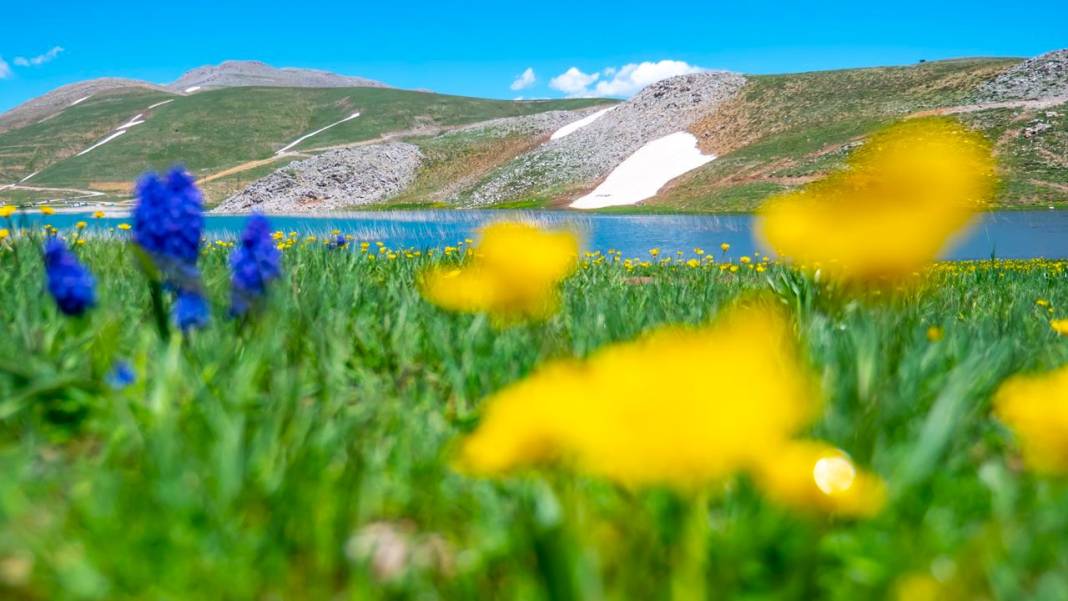 Antalya'nın yüksek kesimleri baharı yaşamaya devam ediyor 10