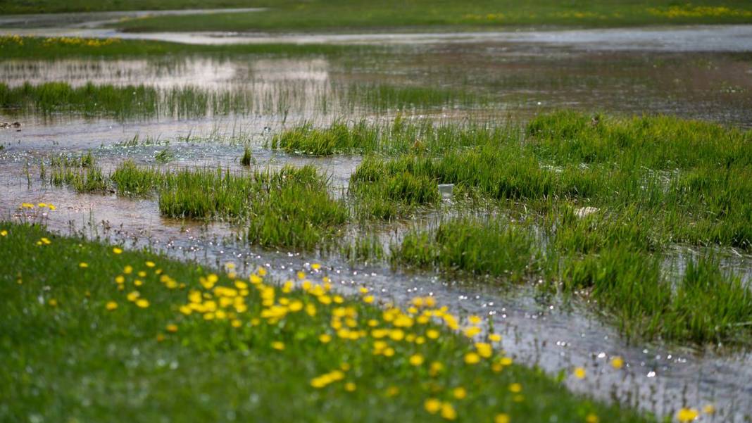 Antalya'nın yüksek kesimleri baharı yaşamaya devam ediyor 11