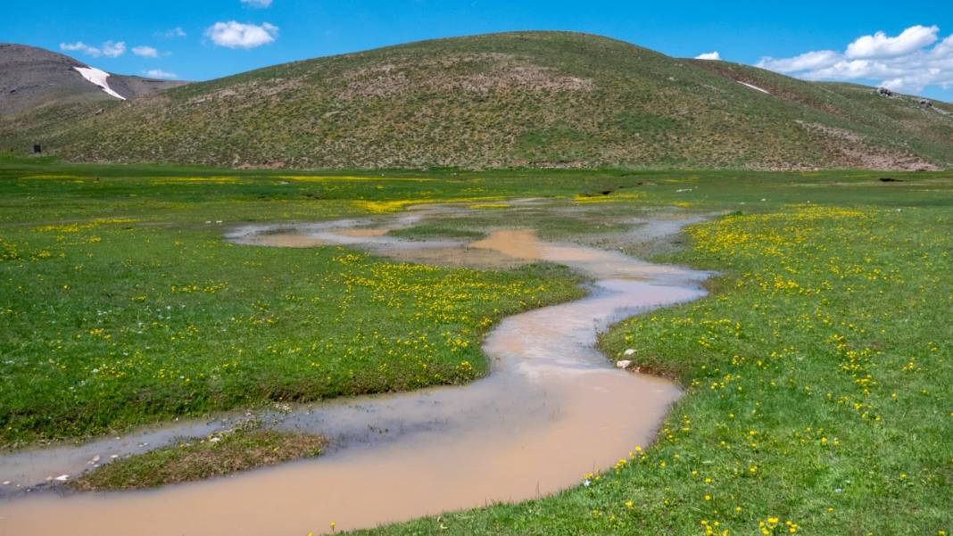 Antalya'nın yüksek kesimleri baharı yaşamaya devam ediyor 12