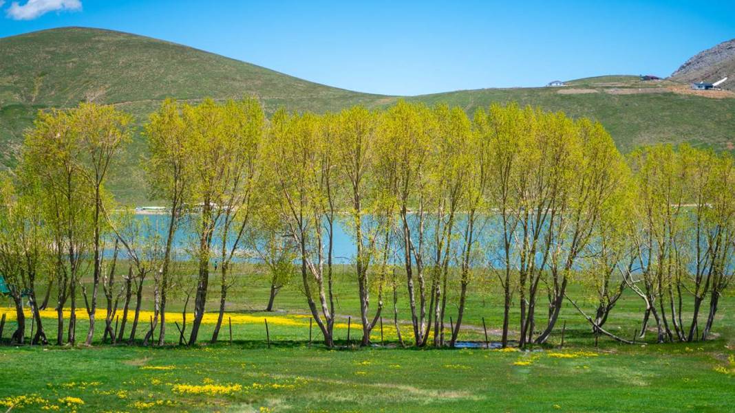 Antalya'nın yüksek kesimleri baharı yaşamaya devam ediyor 3