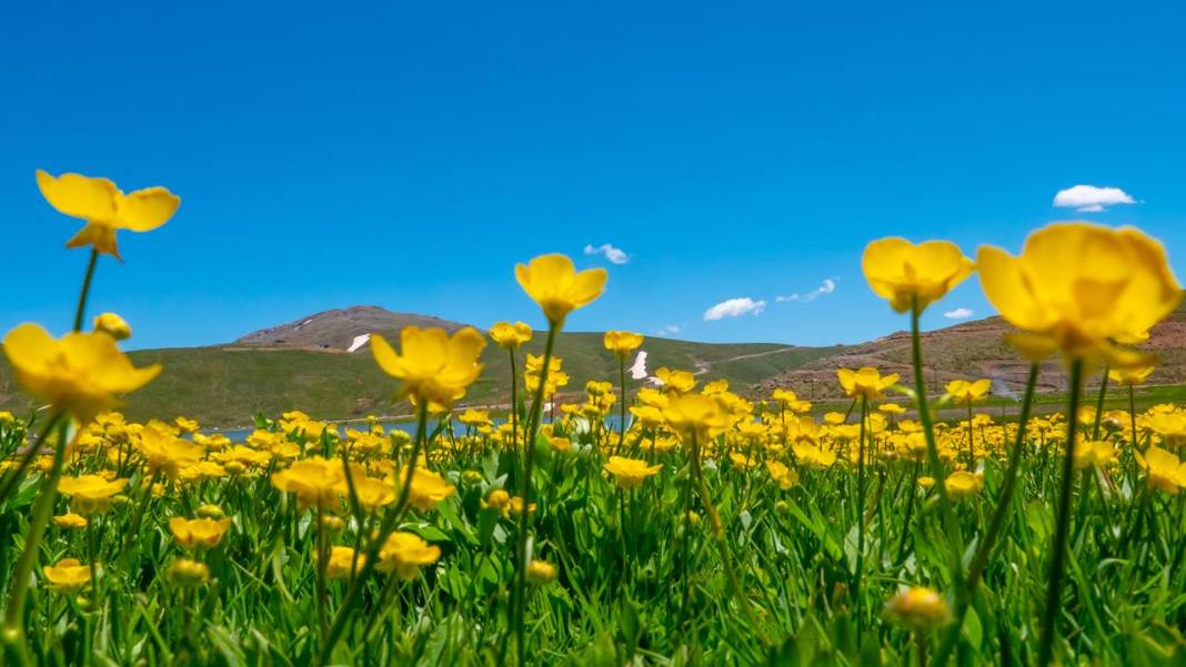 Antalya'nın yüksek kesimleri baharı yaşamaya devam ediyor 4