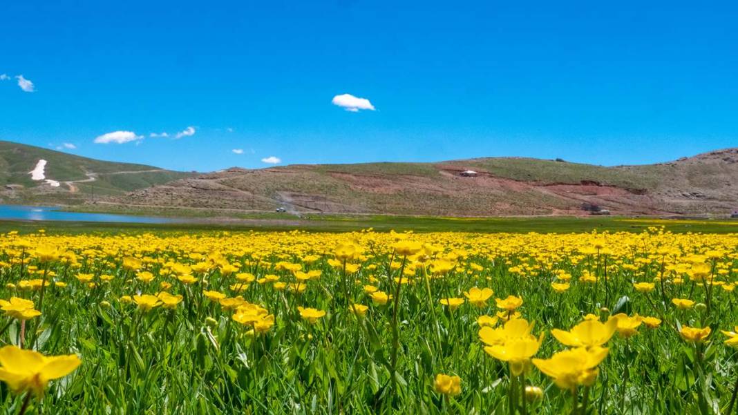 Antalya'nın yüksek kesimleri baharı yaşamaya devam ediyor 5