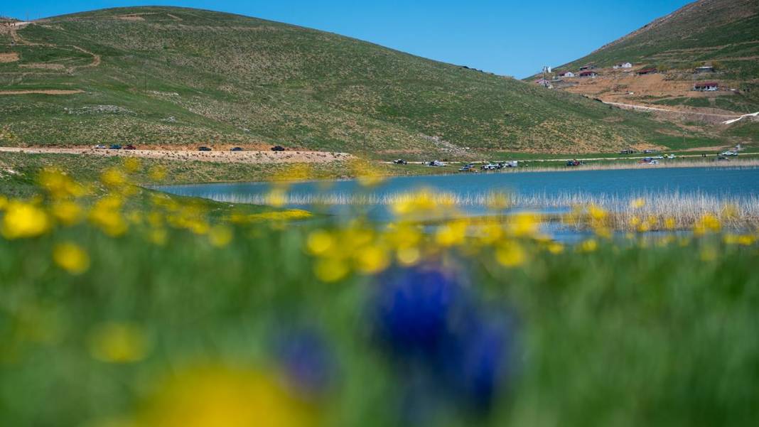 Antalya'nın yüksek kesimleri baharı yaşamaya devam ediyor 8