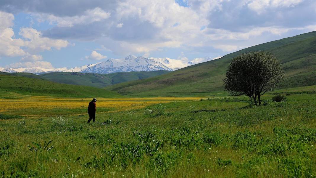 Bayburt'un yüksek rakımlı köylerinde bahar renkleri 1