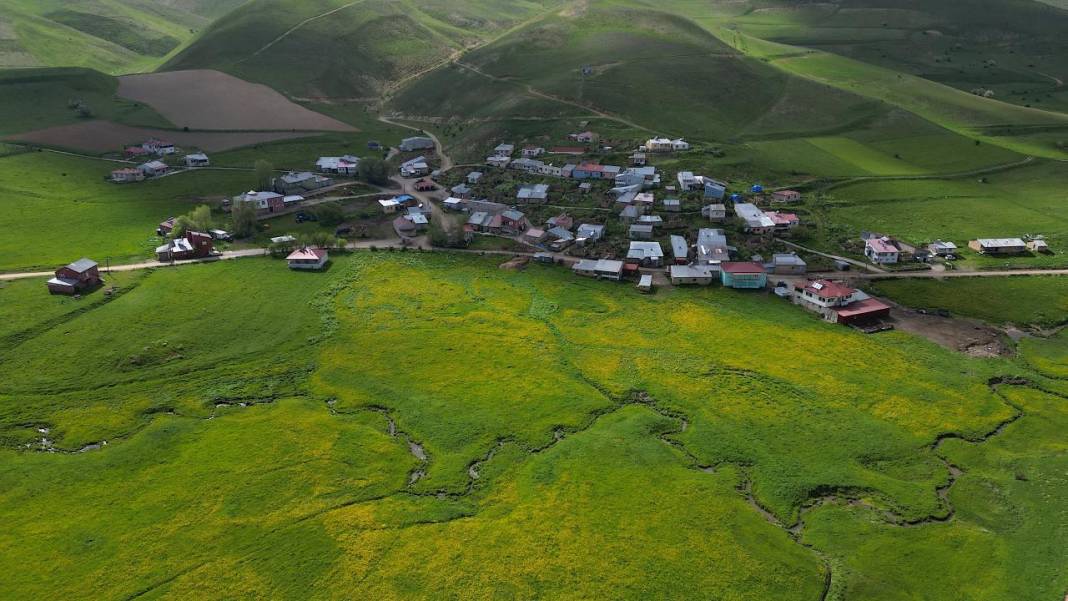 Bayburt'un yüksek rakımlı köylerinde bahar renkleri 3
