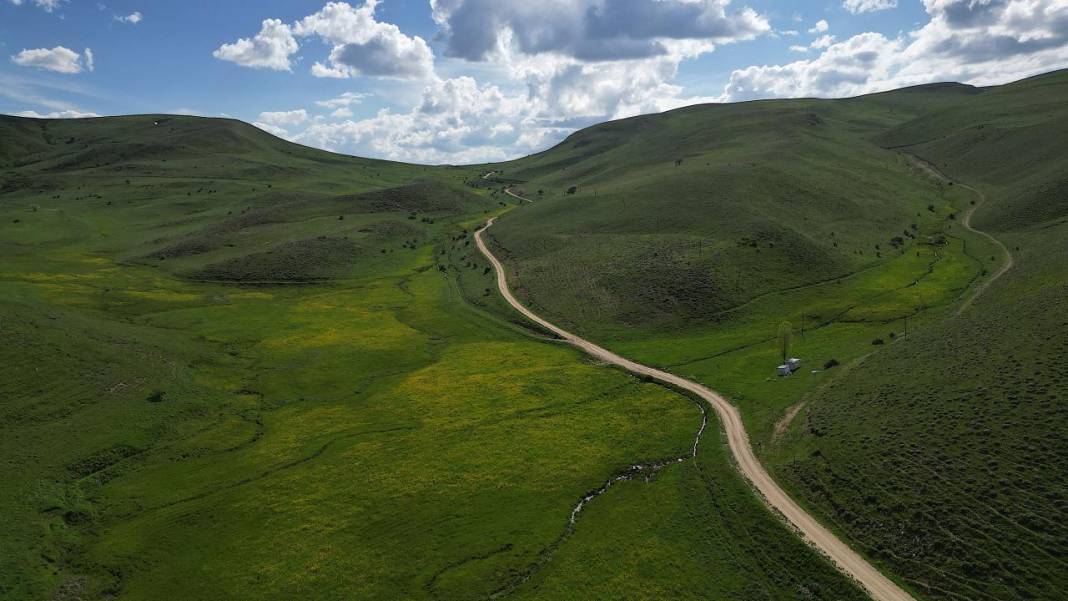 Bayburt'un yüksek rakımlı köylerinde bahar renkleri 4