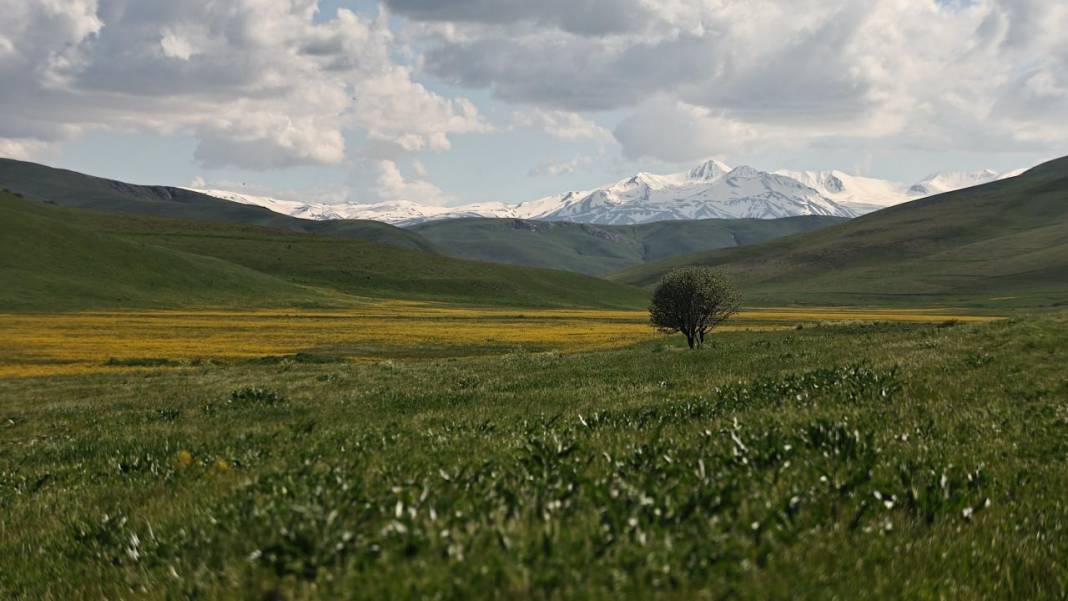 Bayburt'un yüksek rakımlı köylerinde bahar renkleri 5