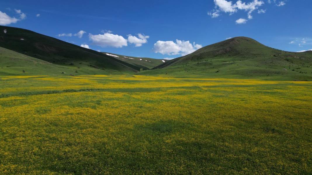 Bayburt'un yüksek rakımlı köylerinde bahar renkleri 9