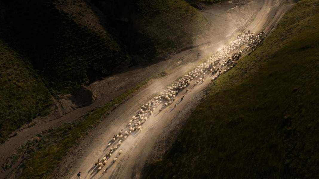 Nemrut Dağı eteklerinde sürülerin zorlu yayla yolculuğu başladı 10
