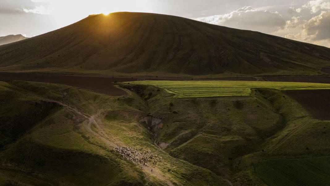 Nemrut Dağı eteklerinde sürülerin zorlu yayla yolculuğu başladı 11