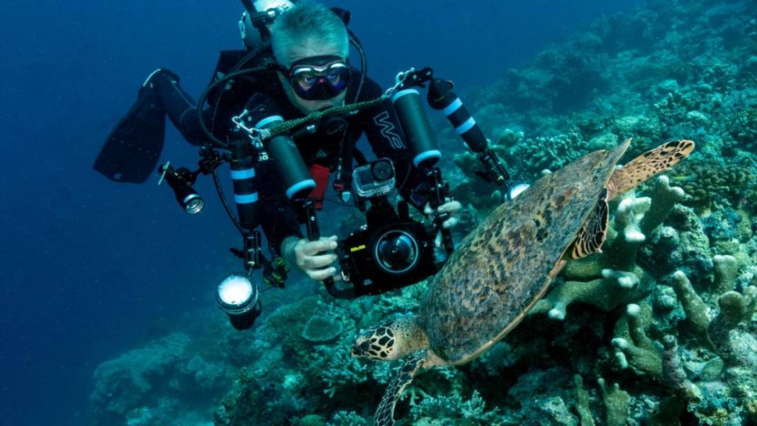 Sipadan Adası'nın zengin su altı yaşamı görüntülendi 7