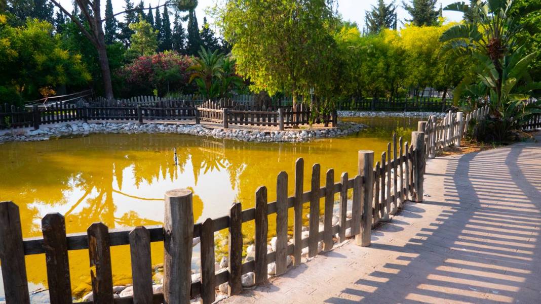 Botanik Park mevsim çiçekleriyle renklendi 12