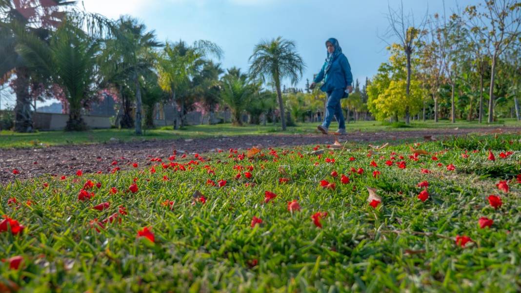 Botanik Park mevsim çiçekleriyle renklendi 13
