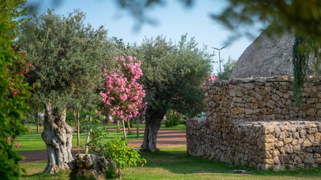 Botanik Park mevsim çiçekleriyle renklendi 4