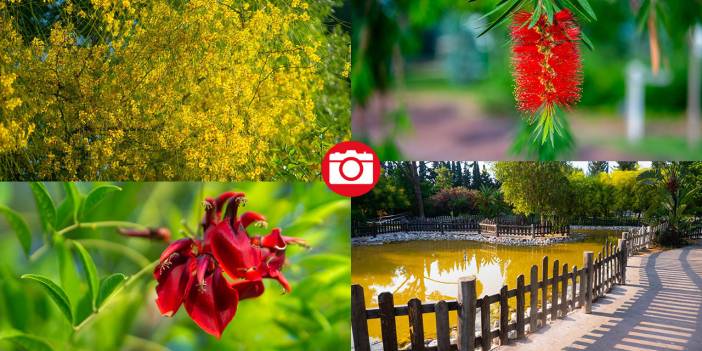 Botanik Park mevsim çiçekleriyle renklendi