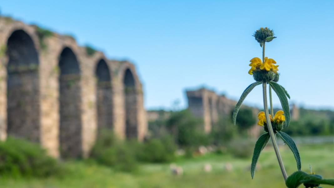 Aspendos Su Kemerleri 12