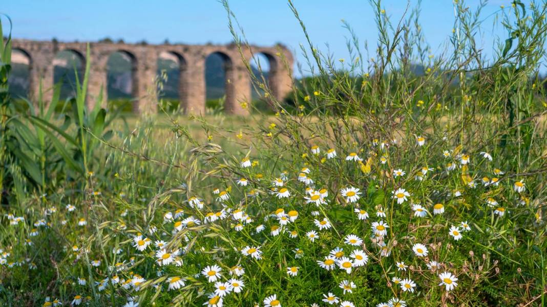 Aspendos Su Kemerleri 14