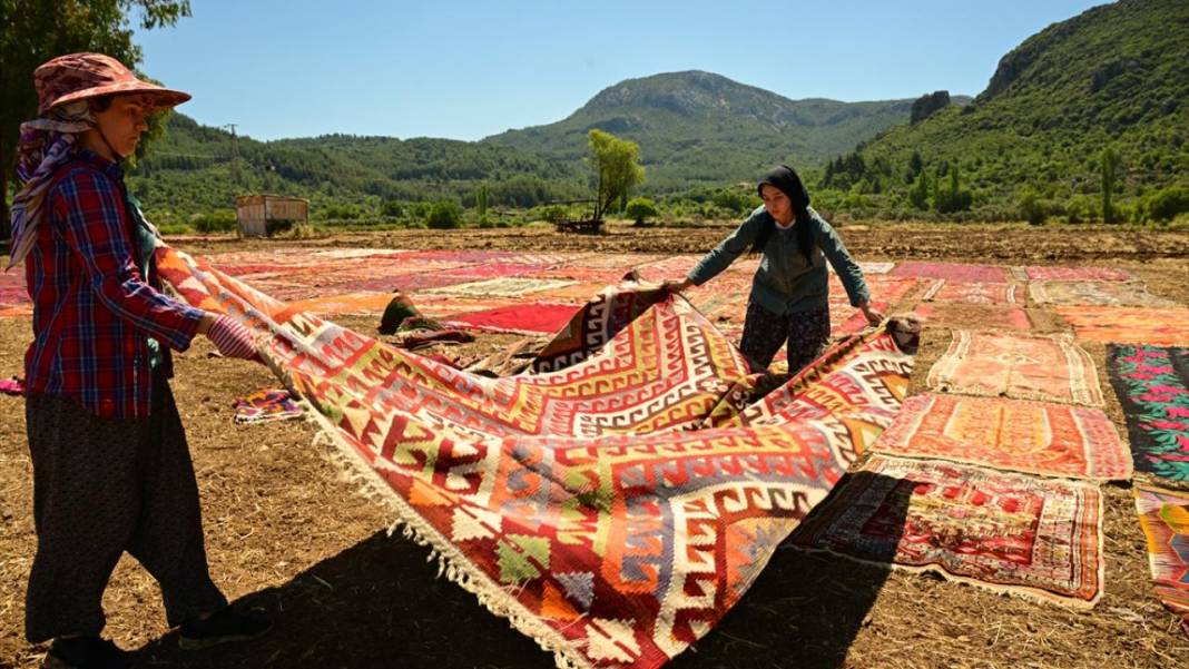 Antalya'da buğday tarlaları 'halı tarlaları'na dönüştü 12