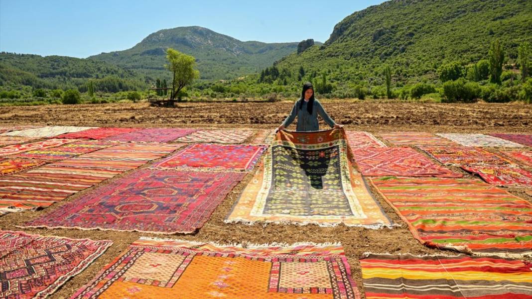 Antalya'da buğday tarlaları 'halı tarlaları'na dönüştü 13
