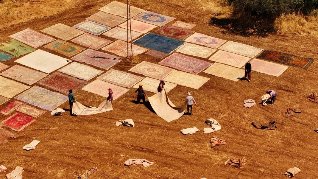 Antalya'da buğday tarlaları 'halı tarlaları'na dönüştü 5