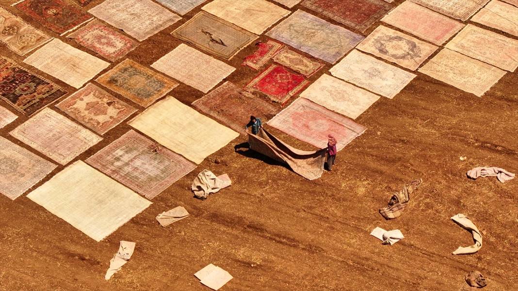 Antalya'da buğday tarlaları 'halı tarlaları'na dönüştü 7