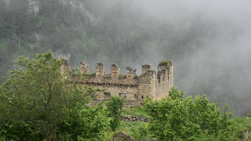 Gümüşhane'nin 2 bin 140 rakımlı Taşköprü Yaylası 11