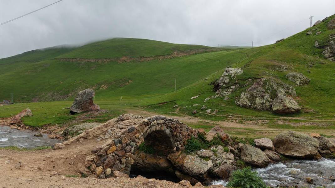 Gümüşhane'nin 2 bin 140 rakımlı Taşköprü Yaylası 2