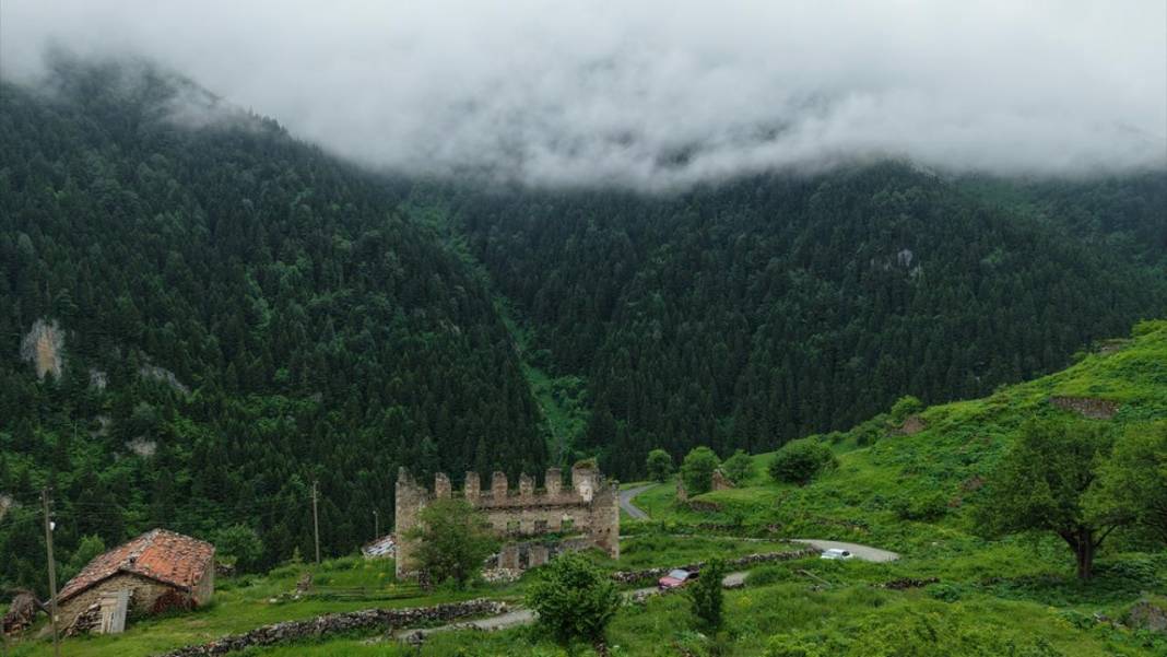 Gümüşhane'nin 2 bin 140 rakımlı Taşköprü Yaylası 3