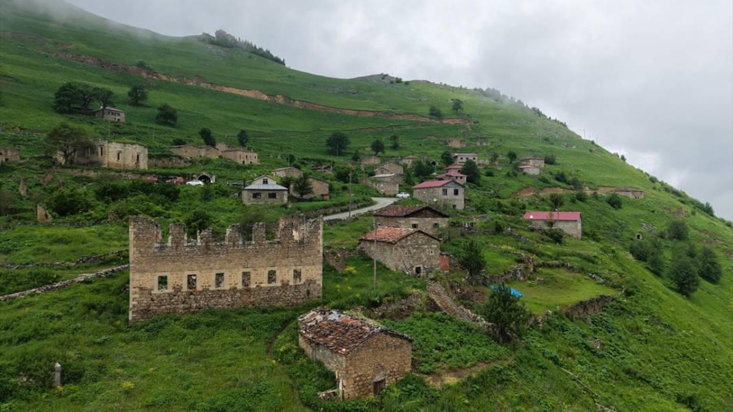 Gümüşhane'nin 2 bin 140 rakımlı Taşköprü Yaylası 4