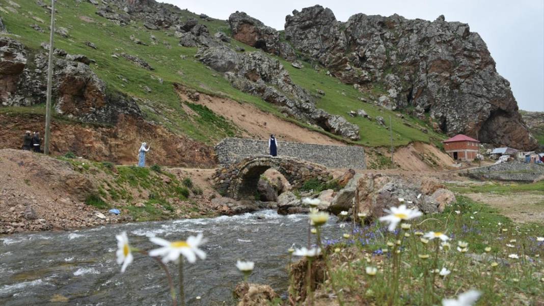 Gümüşhane'nin 2 bin 140 rakımlı Taşköprü Yaylası 6