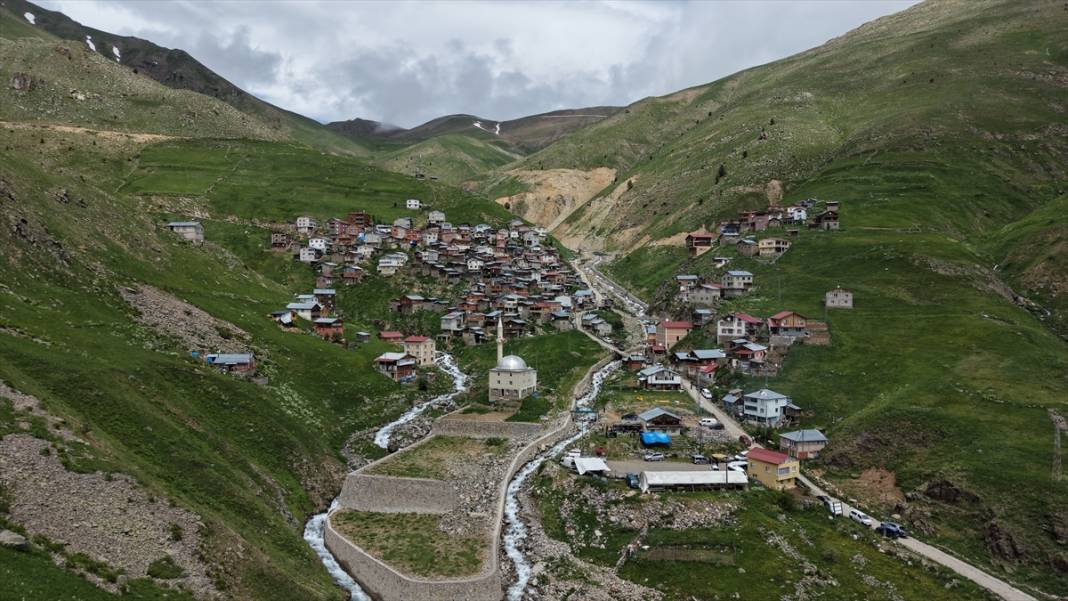 Kaçkar Dağları'nın eteklerindeki yaylalar çiçeklerle renklendi 10