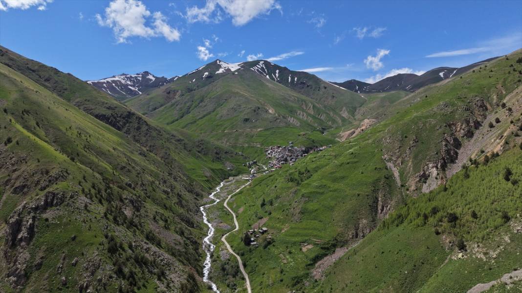 Kaçkar Dağları'nın eteklerindeki yaylalar çiçeklerle renklendi 9