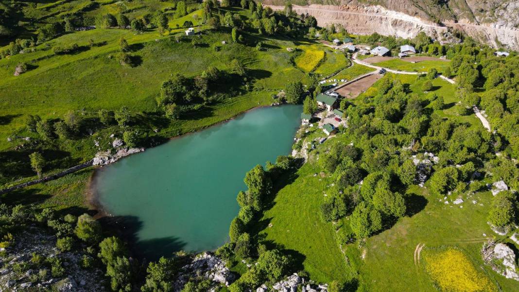 Tamamı ahşap evlerden oluşan, yemyeşil bir köy 4
