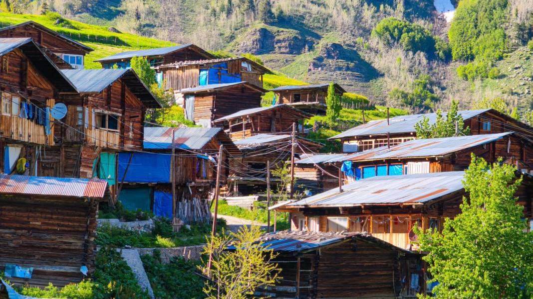 Tamamı ahşap evlerden oluşan, yemyeşil bir köy 6