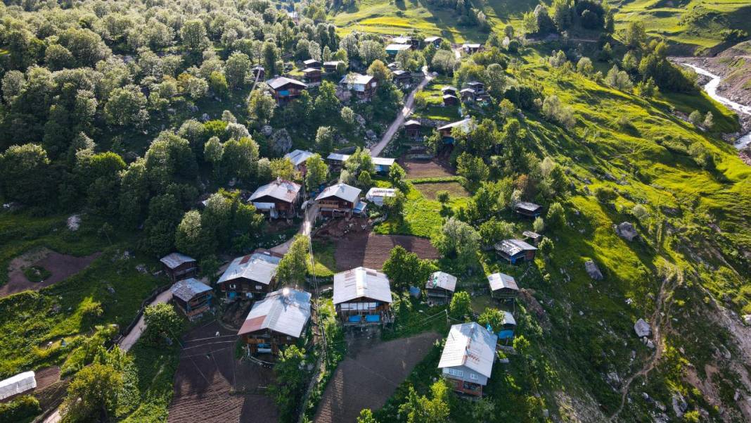 Tamamı ahşap evlerden oluşan, yemyeşil bir köy 8