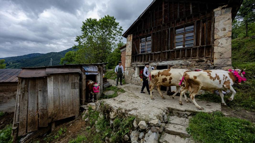 Doğu Karadeniz'de yayla göçü renkli görüntülere sahne oldu 11