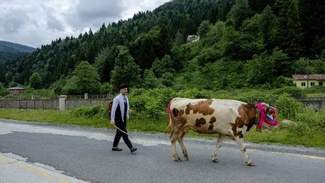 Doğu Karadeniz'de yayla göçü renkli görüntülere sahne oldu 13