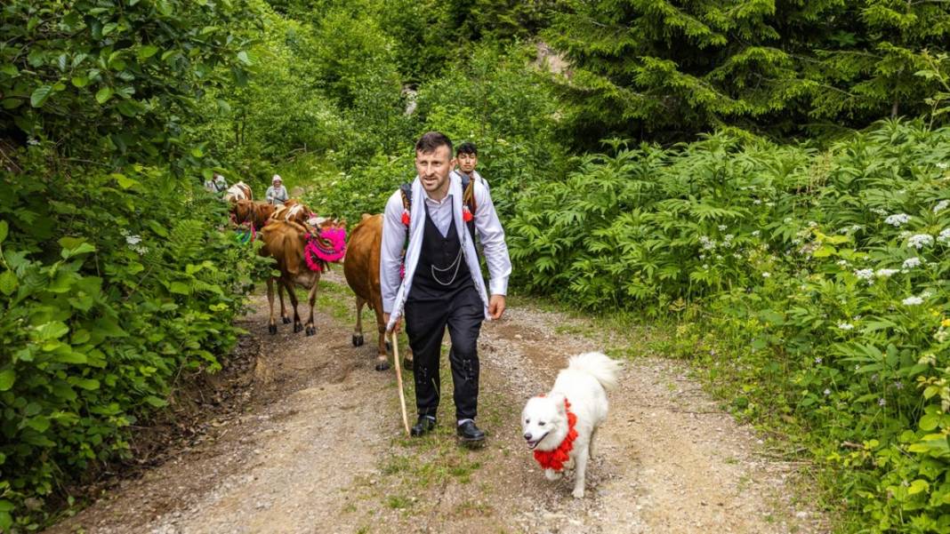 Doğu Karadeniz'de yayla göçü renkli görüntülere sahne oldu 15