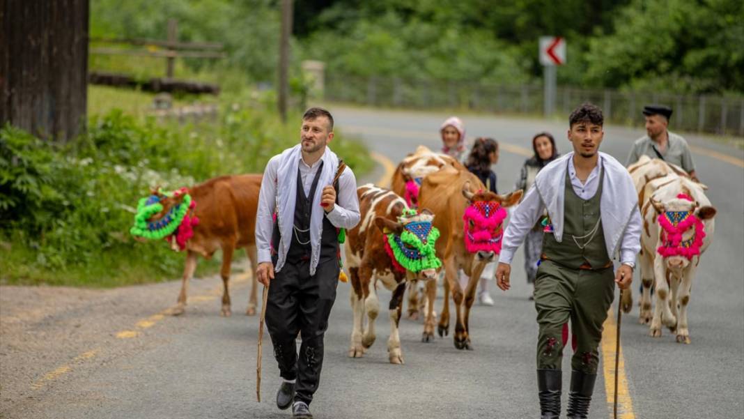 Doğu Karadeniz'de yayla göçü renkli görüntülere sahne oldu 4