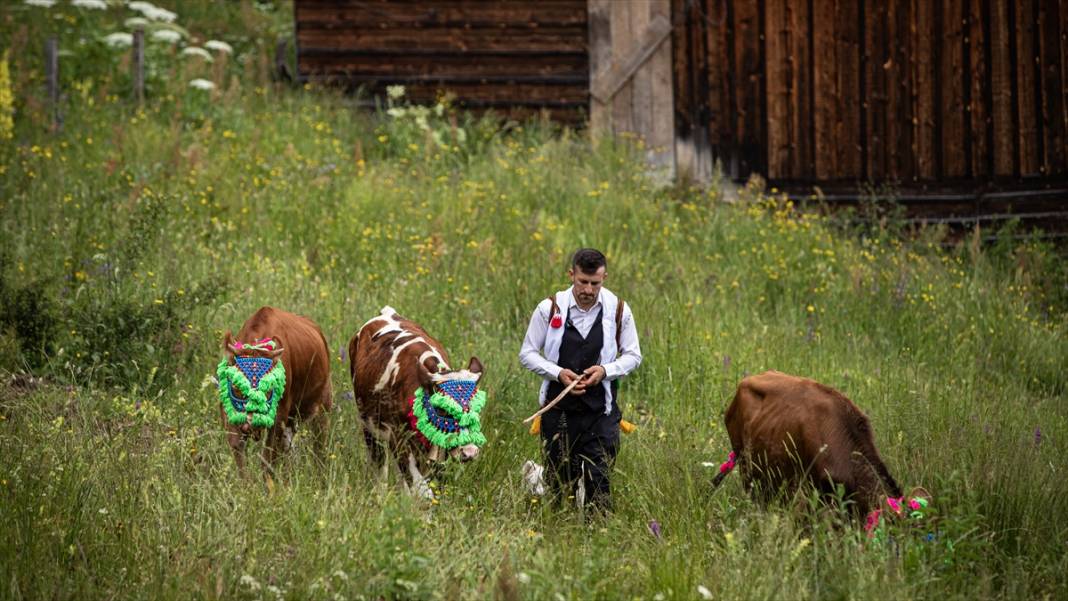 Doğu Karadeniz'de yayla göçü renkli görüntülere sahne oldu 7