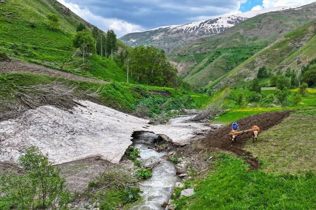 Tarım araçlarının giremediği yamaçlarda karasaban mesaisi 11
